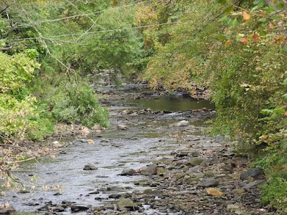 Rocky creek bed with shallow water running between leafy trees in early fall at Gillespie Park