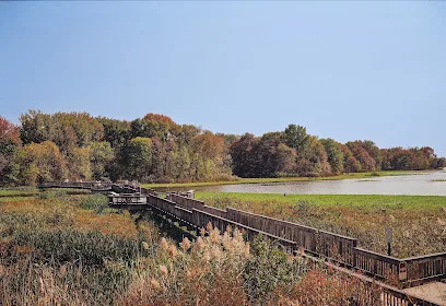 Wooden boardwalk running beside a marsh and open water at John Heinz National Wildlife Refuge at Tinicum, with autumn trees beyond