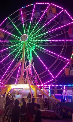 Lit-up Ferris wheel glowing pink and green at night with a crowd gathered below at Norwood Lower Park